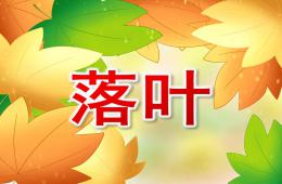 大班語言落葉PPT課件
