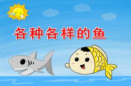 大班美術(shù)說(shuō)課稿各種各樣的魚PPT課件
