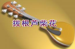 大班音樂打擊樂拔根蘆柴花PPT課件