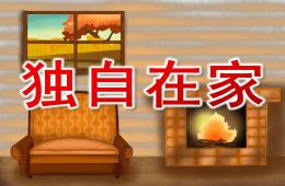 大班安全獨自在家PPT課件