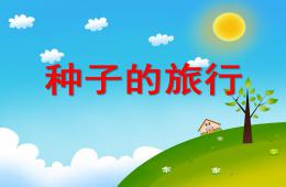 大班科學一顆種子的旅行PPT課件
