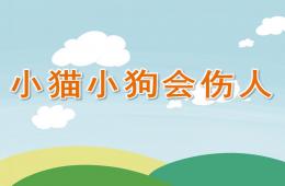 大班健康小貓小狗會傷人PPT課件