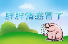 中班語言胖胖豬感冒了PPT課件