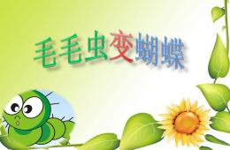 小班毛毛蟲變蝴蝶PPT課件