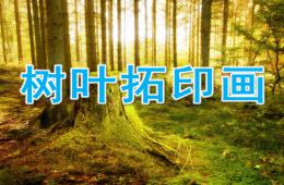大班美術(shù)樹(shù)葉拓印畫(huà)PPT課件