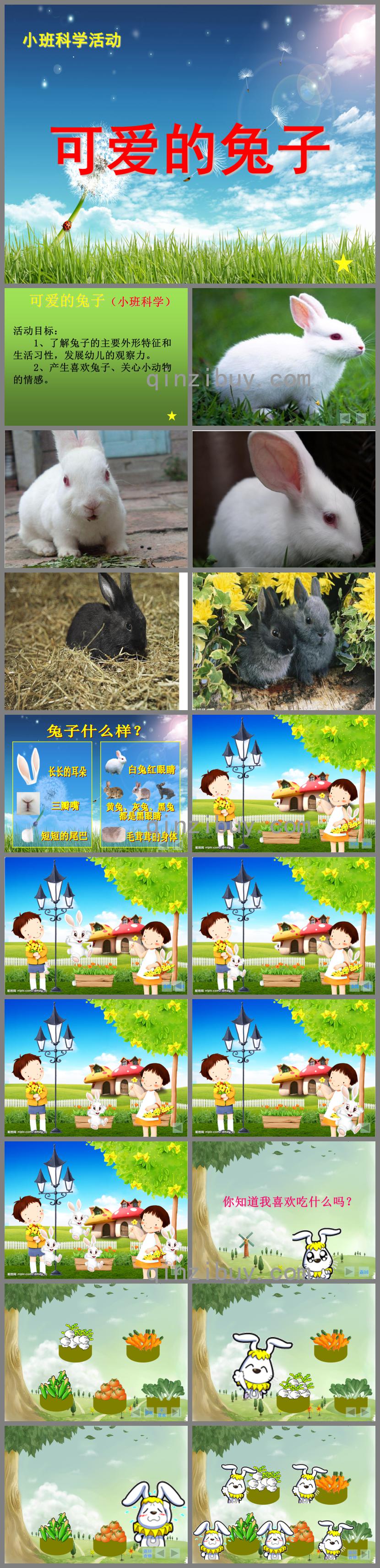 小班科學公開課可愛的兔子PPT課件