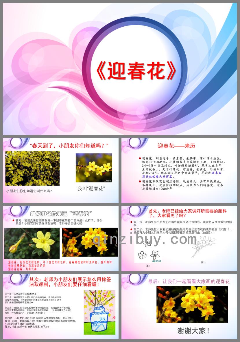 小班迎春花PPT課件
