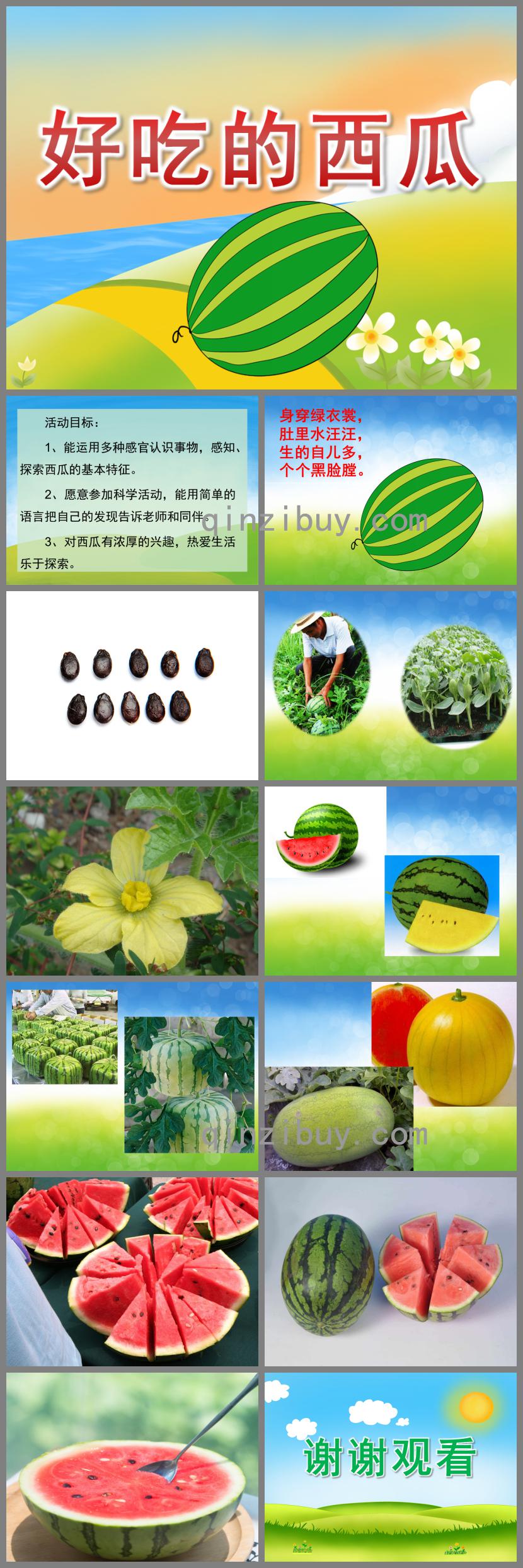 小班科學好吃的西瓜PPT課件