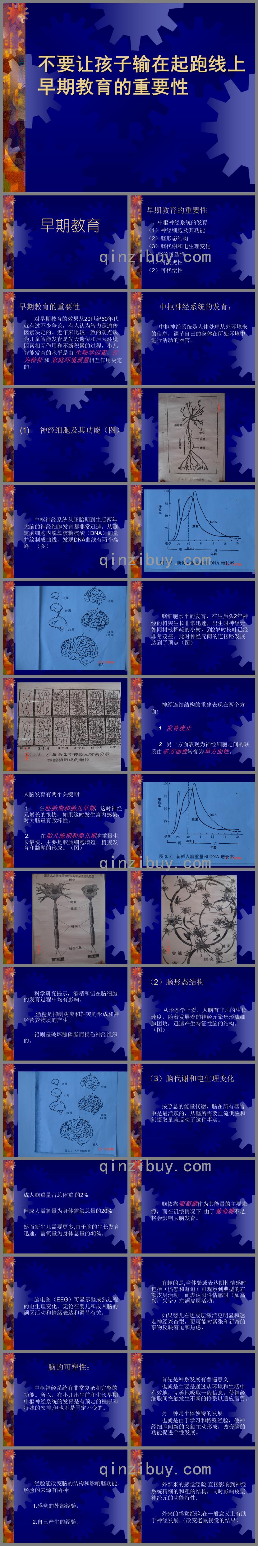 幼兒園早期教育的重要性PPT課件
