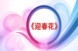 小班迎春花PPT課件