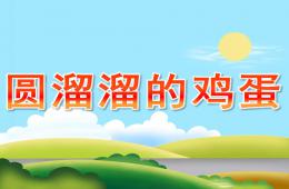 小班科學圓溜溜的雞蛋PPT課件