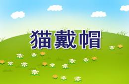 小班兒歌貓戴帽PPT課件音樂