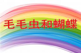 中班科學(xué)公開課毛毛蟲和蝴蝶PPT課件