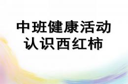 中班健康活動認識西紅柿PPT課件