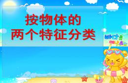 中班數學按物體的兩個特征分類PPT課件