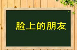 小班健康臉上的朋友PPT課件