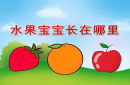 小班科學(xué)水果寶寶長在哪里PPT課件視頻