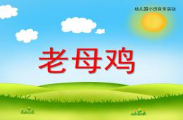 小班音樂老母雞PPT課件歌曲