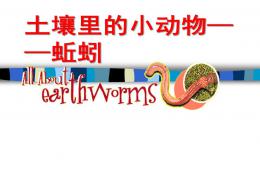 幼兒園科學土壤里的小動物蚯蚓PPT課件