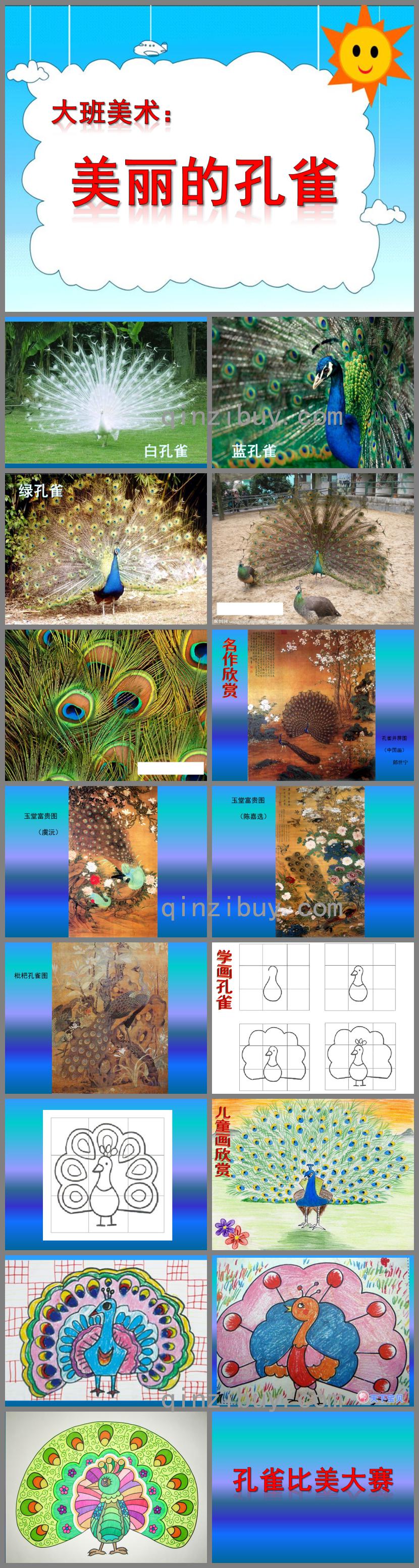 大班美術美麗的孔雀PPT課件