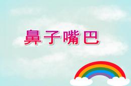 小班主題鼻子嘴巴PPT課件