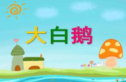 幼兒園動物兒歌大白鵝PPT課件配音音樂