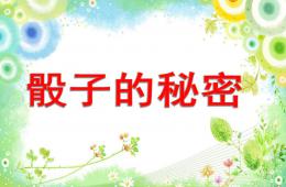 學前班數學骰子的秘密PPT課件