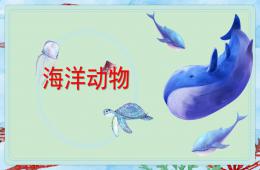 中班科學(xué)海洋動物PPT課件