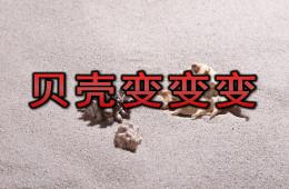 小班美術藝術活動貝殼變變變PPT課件