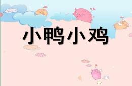 小班音樂小鴨小雞PPT課件