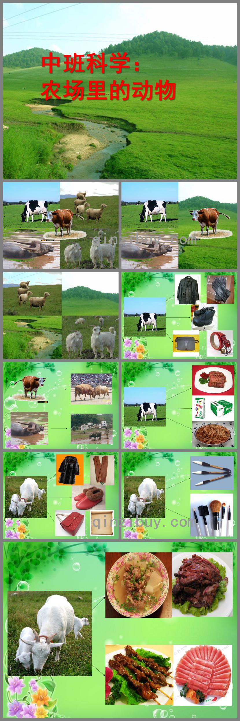 中班科學農場里的動物PPT課件