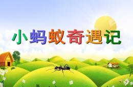 幼兒園故事小螞蟻奇遇記PPT課件配音音樂