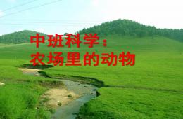 中班科學(xué)農(nóng)場里的動物PPT課件