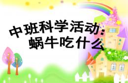 中班科學(xué)蝸牛吃什么PPT課件