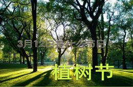 大班植樹節(jié)PPT課件