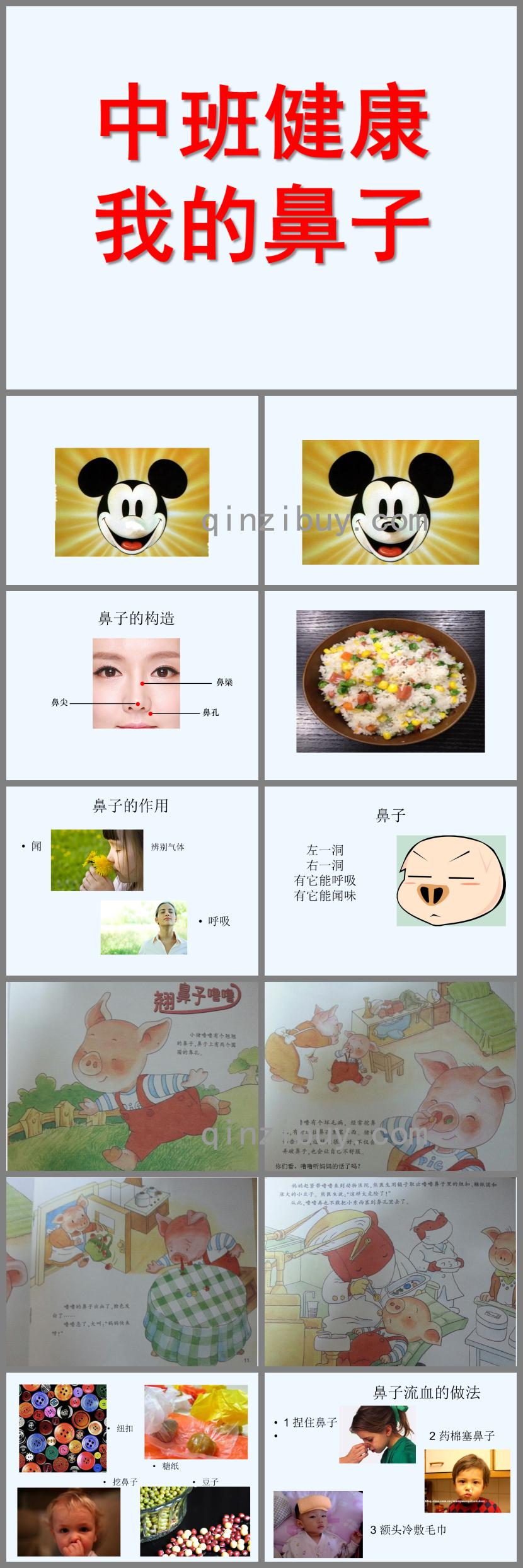中班健康我的鼻子PPT課件