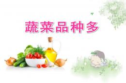 中班科學(xué)蔬菜品種多PPT課件