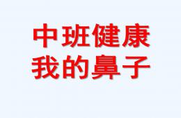 中班健康我的鼻子PPT課件
