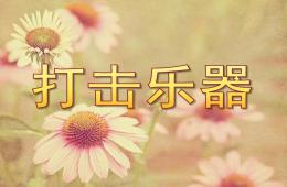 大班打擊樂器PPT課件