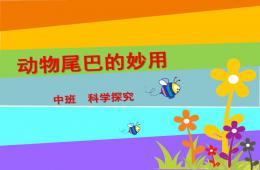 中班科學(xué)探究動物尾巴的妙用PPT課件