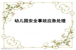 幼兒園安全事故應(yīng)急處理PPT課件