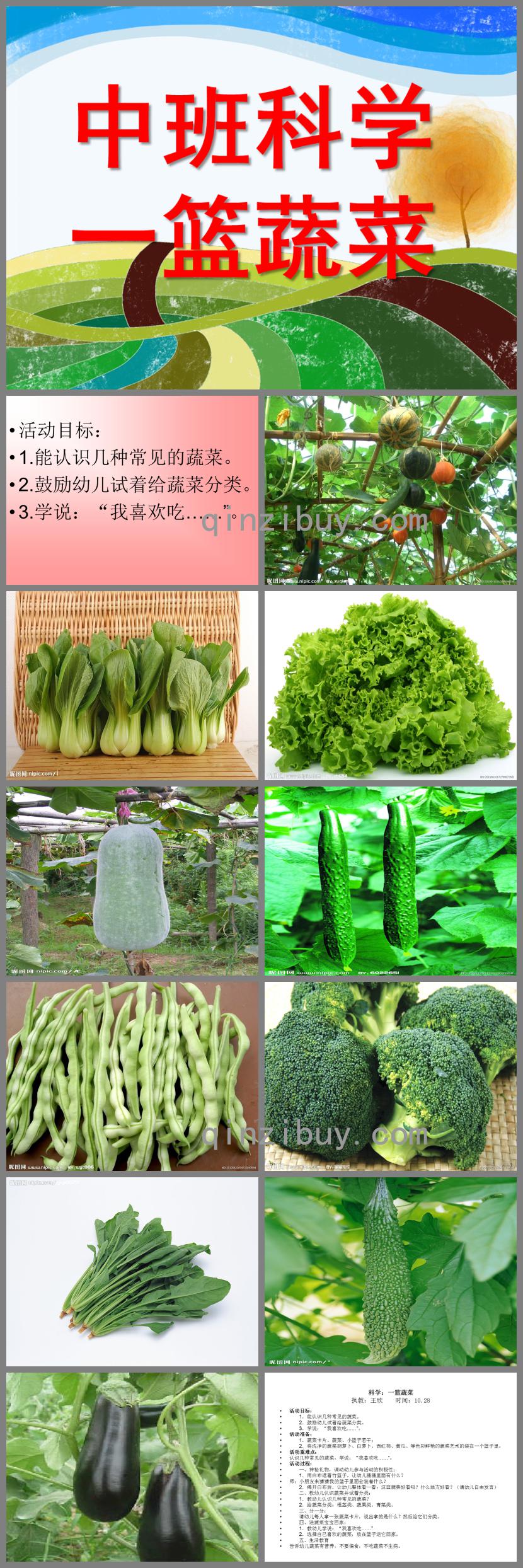中班科學一籃蔬菜PPT課件