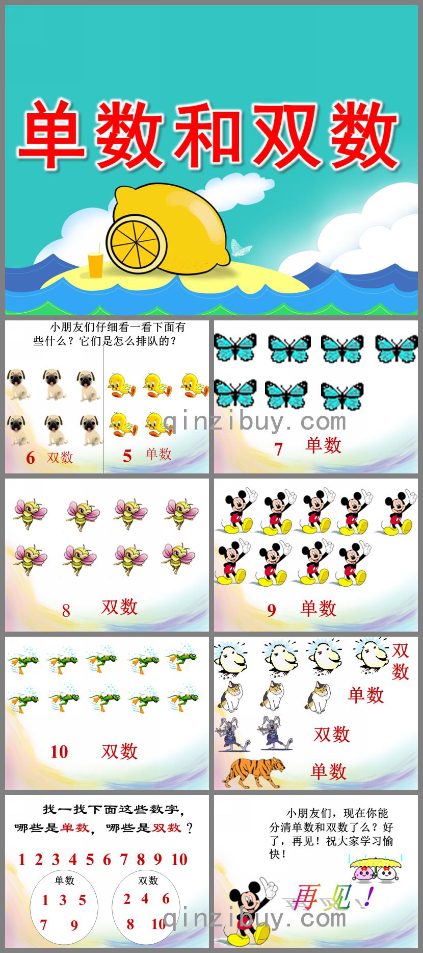 大班數(shù)學計算單數(shù)和雙數(shù)PPT課件