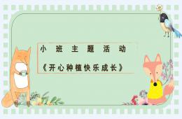 小班主題開心種植快樂成長PPT課件