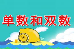 大班數(shù)學(xué)計(jì)算單數(shù)和雙數(shù)PPT課件