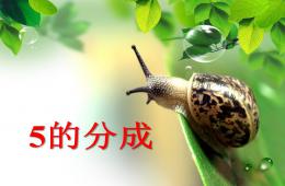 學前班數學5的分成PPT課件