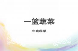 中班科學(xué)活動一籃蔬菜PPT課件