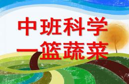 中班科學(xué)一籃蔬菜PPT課件