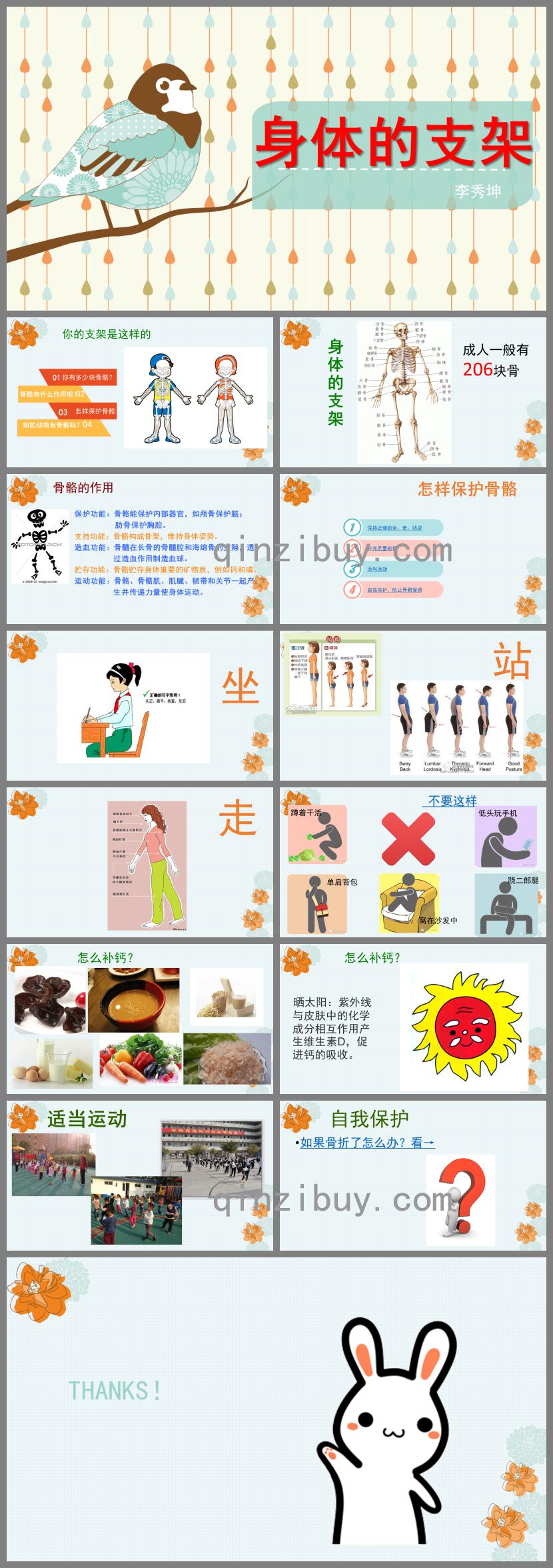 大班健康公開課身體的支架PPT課件