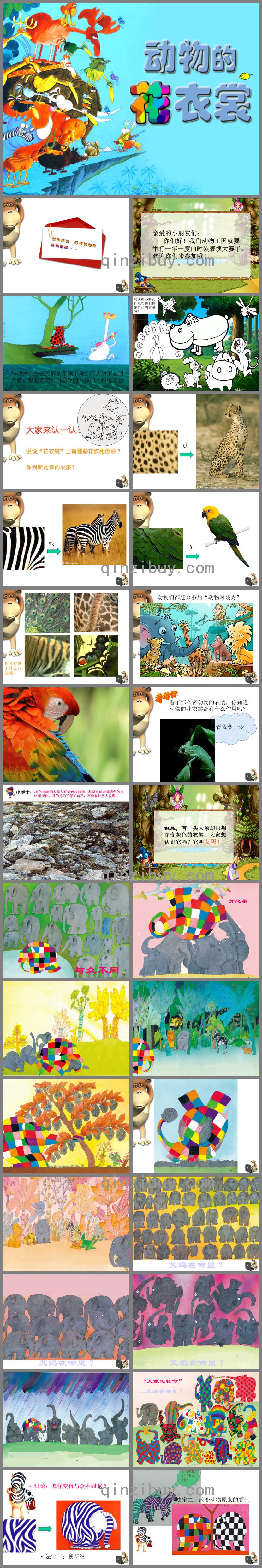 中班科學活動動物的花衣裳PPT課件